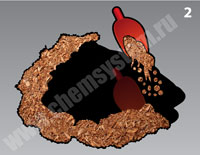 Shelltic C pr02